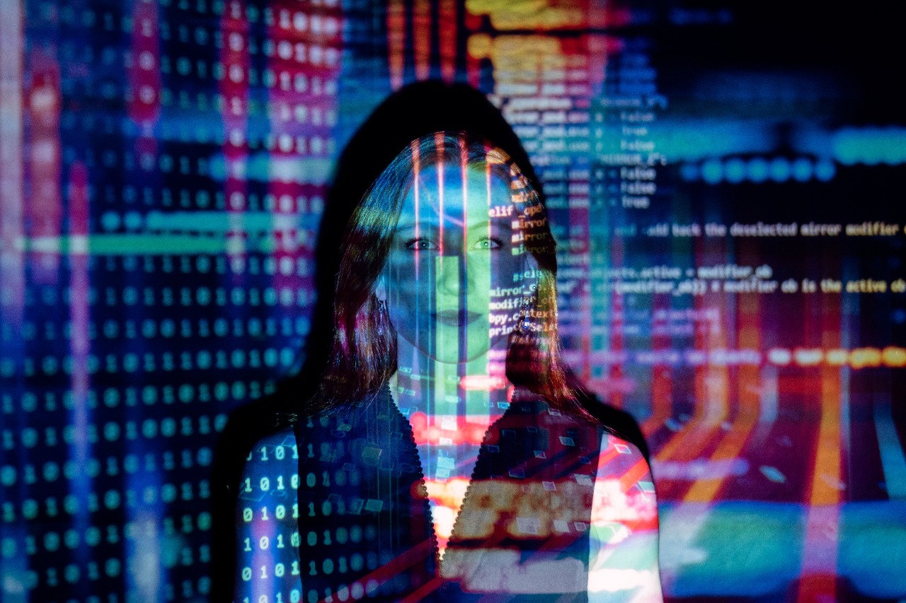 What is an IT Consultant ?